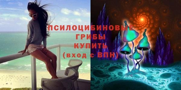 PSILOCYBIN Алексин